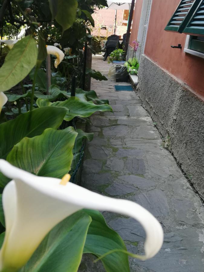 A Ca Du Barba Leilighet Monterosso al Mare Eksteriør bilde