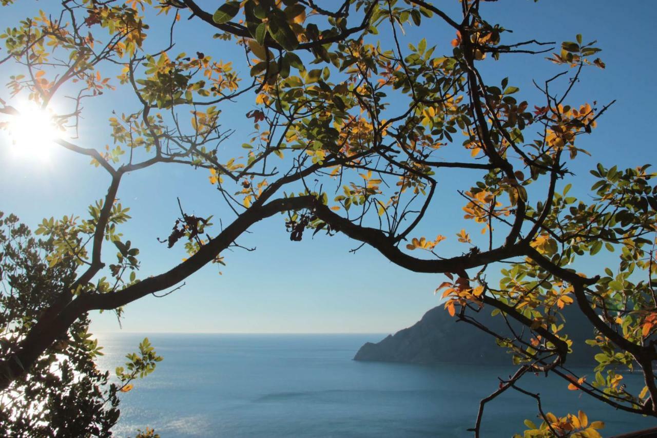 A Ca Du Barba Leilighet Monterosso al Mare Eksteriør bilde